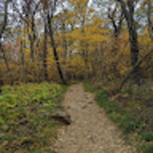 Meet your Posher, Rebekah